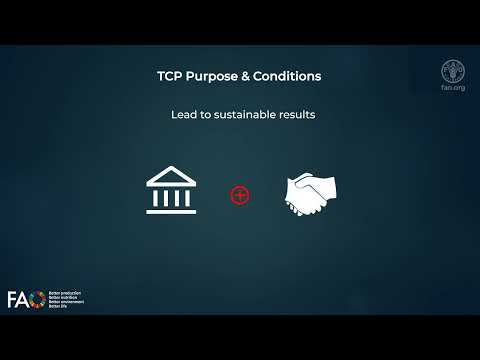 TCP Criteria