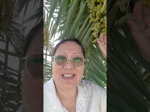 Dates malapit na mag manibalang