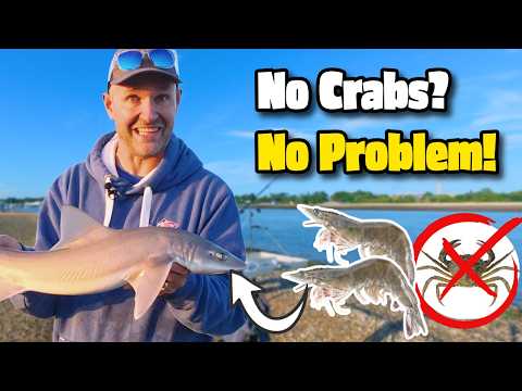Peeler Crabs Are Expensive... So I Tried THIS!