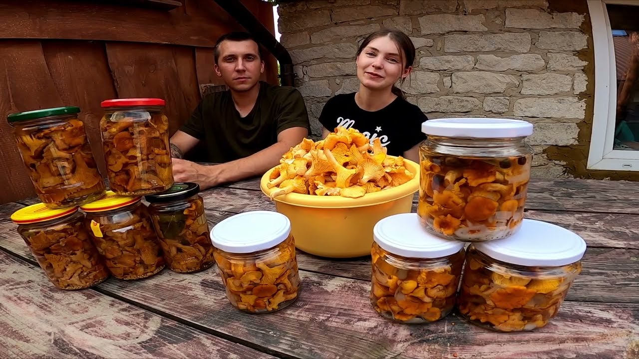 Zbieramy Grzyby a później je marynujemy . Jak zrobić Kurki w zalewie Octowej.