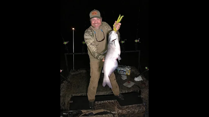 Cape Fear River Catfish | Carolina ALL OUT | S-2/E...