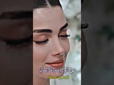 ياسر عبد الوهاب ما تنمل