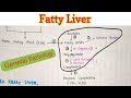 Fatty Liver / Steatosis of Liver / Fatty Change in Liver | General Pathology