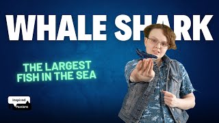 Amazing Whale Shark with Sarah | Inspired Passions