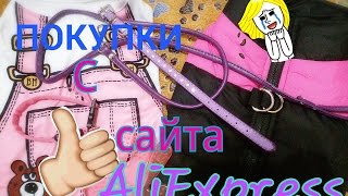 ПОКУПКИ ДЛЯ СОБАКИ С AliExpress/Покупки с сайта AliExpress ПОКУПКИ ДЛЯ СОБАКИ С AliExpress/Покупки с сайта AliExpress