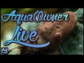 AquaOwner Live (Fragen, Previews und Meer) | AquaOwner