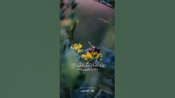 آية تهز القلب من سورة النحل - تلاوة خاشعة ومؤثرة جداً | Quran Short