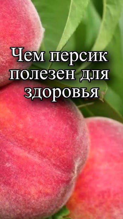 Чем персик полезен для здоровья? - YouTube