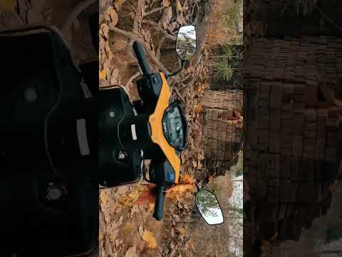 How to Contact the Dudespin Support Team