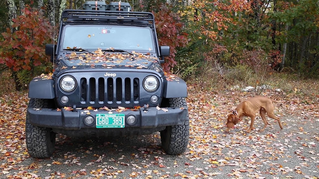 BROKEN JEEP TO MUCKING POOP VLOG 2 YouTube
