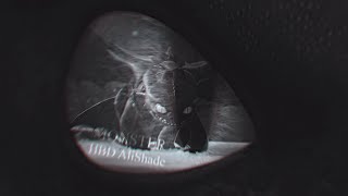 Monster//HBD AliShade