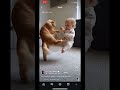 Baby use karate skills on a cat #inhousetv #funny #baby #cute #laugh #weindahouse #cats #ihp #box