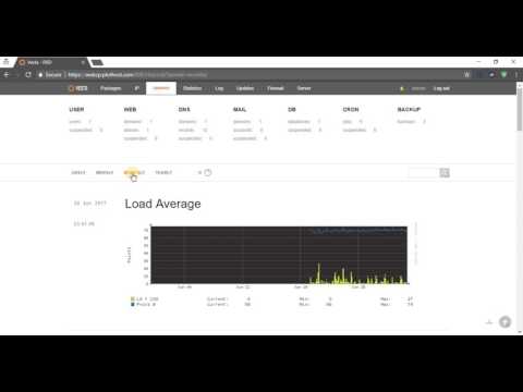 How to check server and accounts' stats in Vesta