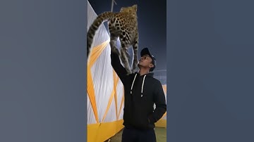 tutorial leopard leap felte#leopard #tutorial #filter #moneylove