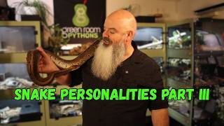 What Actually Shapes a Pet Snake's Personality