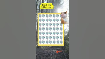 find the diff #152 #spot #game #difference