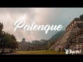 Palenque, Chiapas (Zona arqueologica) Como llegar y que hacer