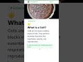 Cell Structure and Functions, Class 8 Science | Chapter 8 | Class 8 Biology | NCERT | ConceptScroll