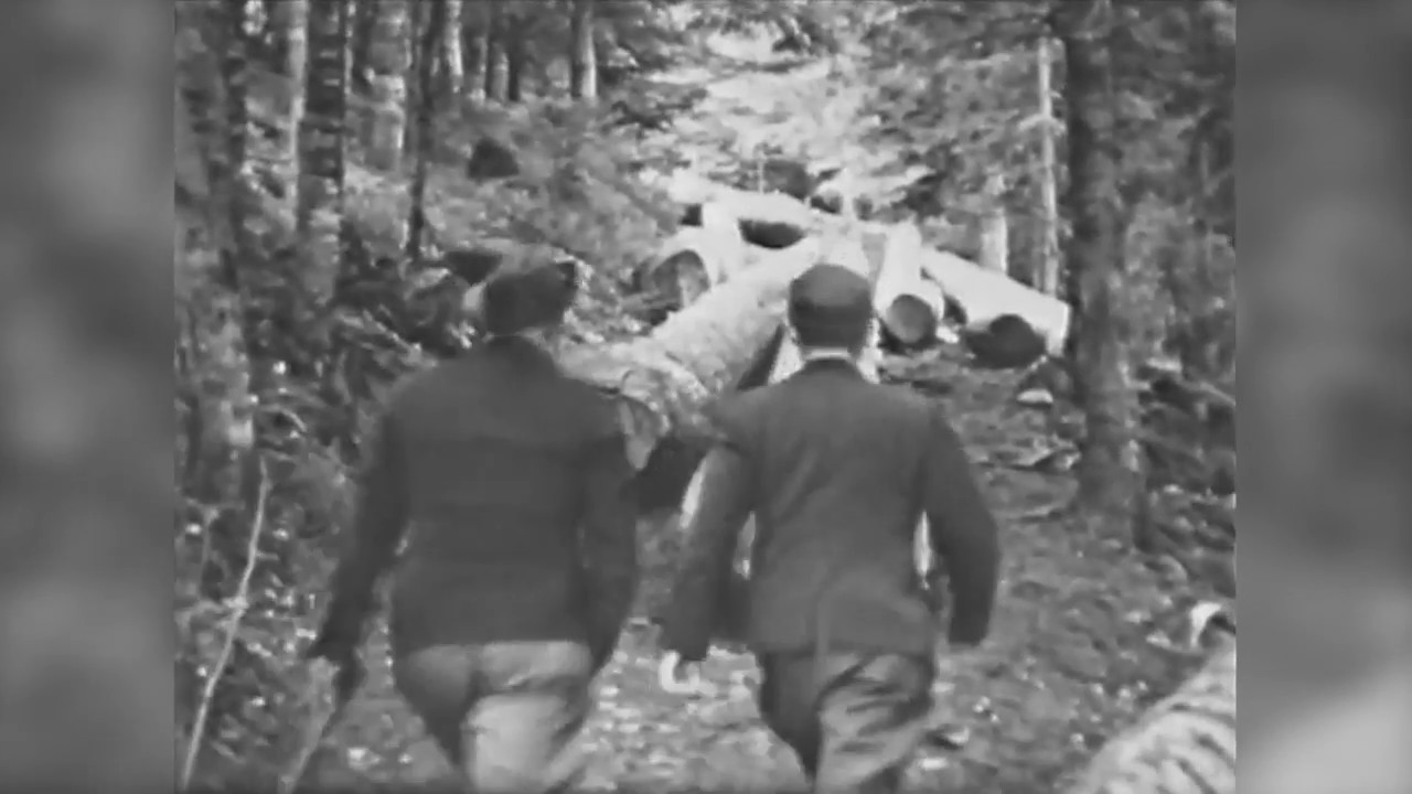 Gottlieb P. Cerny - Die letzten Holzriesen im Schwarzwald - 1955