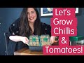 Sowing dwarf chillis and tomatoesnovice garden