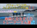 【パフォーマンスショーの最中に、まさかの事態に💦とんだハプニングが😱〜前編〜】鴨川シーワールド✨シャチパフォーマンスショー❗2023年10月1日(日)午前11時30分