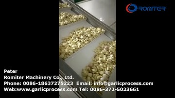 Full Automatic Garlic Separating Peeling and Color Sorting Line-Romiter Machinery