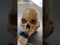 Medical version🤍#viral #trending#shorts#trending#explore#like#neet#pw#futuredoctore#college#mbbs#bds
