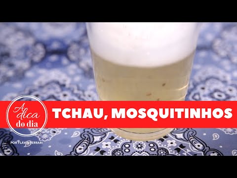 Vídeo: Os mosquitos são moscas da fruta?