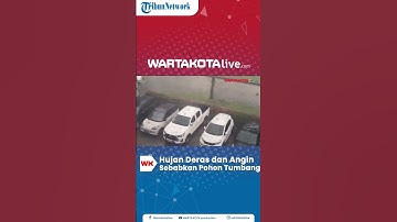 Hujan Deras dan Angin Sebabkan Pohon Tumbang di Kawasan Emerald Bintaro