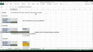 NETWORKDAYS INTL Function