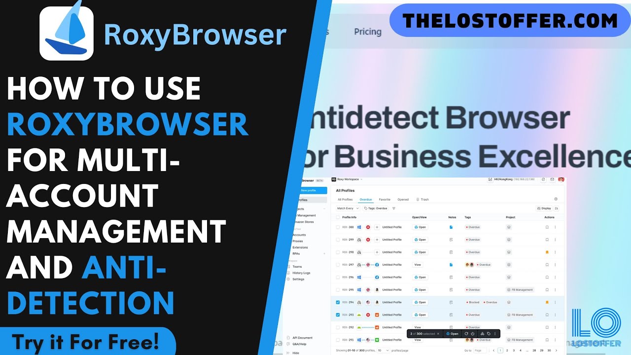 How to Use RoxyBrowser for Multi-Account Management and Anti-Detection ...