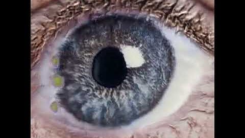Generative Adversarial Network to generate modern art.Believable fake Eye  images created by an AI.