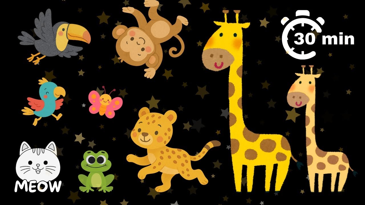 Baby Sensory Jungle 🌿 Colorful Animals and Calming Music