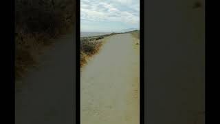 Take A Walk On The Coast In Cambria, Ca