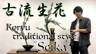 【生け花】古流の伝統様式「生花」をご紹介(花材：チョウセンマキ)【Ikebana】