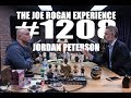 Joe Rogan Experience #1208 - Jordan Peterson