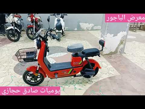 سعر اسكوتر كهرباء فلورا أرخص اسكوتر واسهل اسكوتر في السواقه عند صادق
