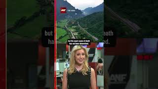 American Man And Son Die After Being Swarmed By Wasps In Laos