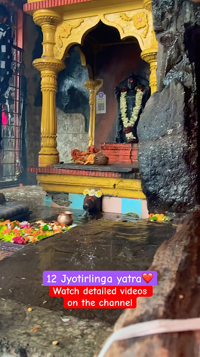 Godavari River origin #trimbakeshwar #trimbak #trimbakeshwarjyotirlinga #shorts #short #viral #trend