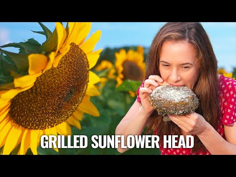 Video: Vor produce semințe floarea soarelui fără polen?