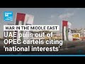 UAE pulls out of OPEC oil cartels citing 'national interests' • FRANCE 24 English