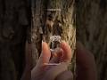 РОЗЫГРЫШ КОЛЬЦА 💍#украшенияручнойработы #украшенияскамнями #розыгрыш #конкурс