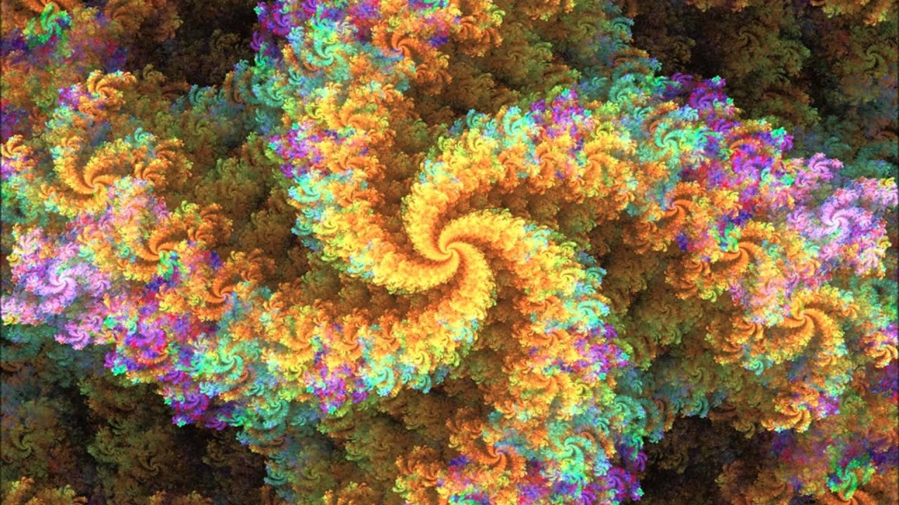 Southwild - Flower Powder