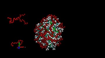 Dendrimers in Polymer solution.