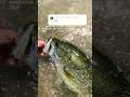 Subscribe for more giveaways! #fishing #trending #shorts