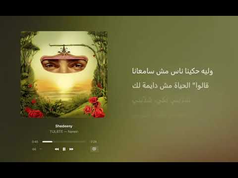 shedeeny-tul8te