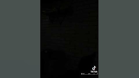 سورة السجدة مقطع الاية 4 قرأن كريم راحة نفسية 💜🌜