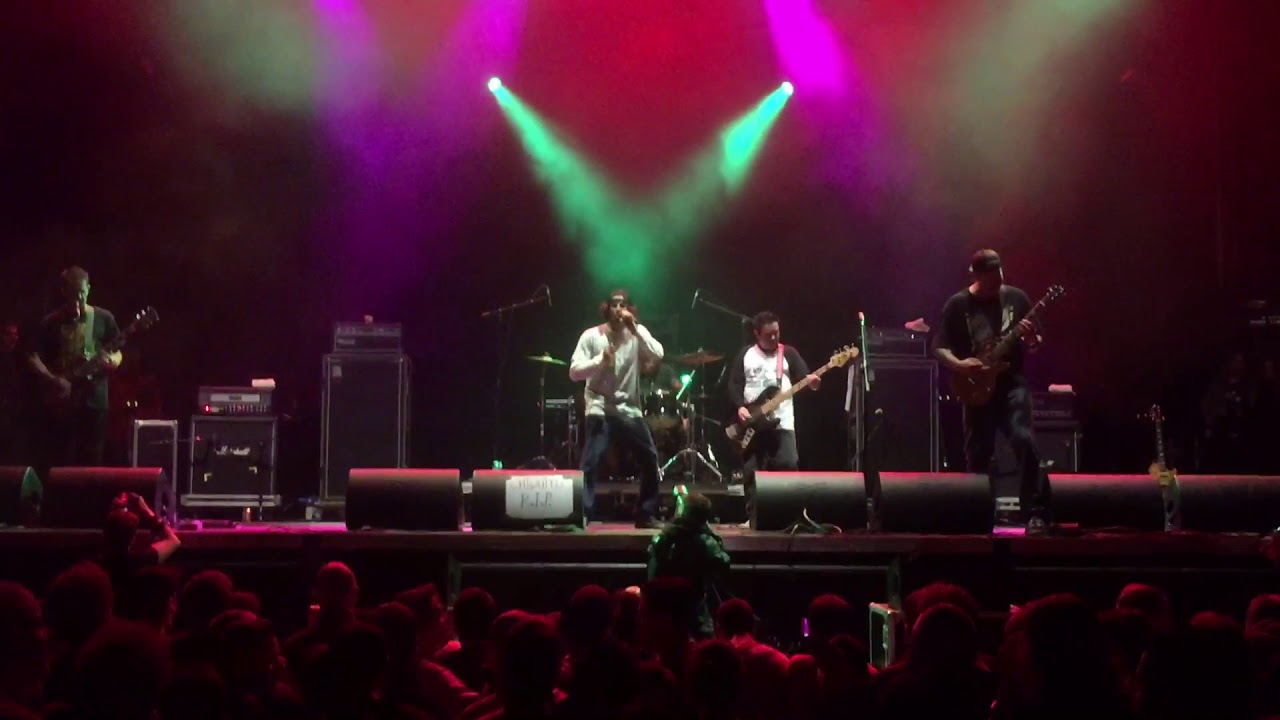 RKL Betrayed Rich Kids on LSD - Thee RKaLiens - YouTube Music