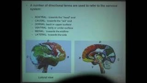 Your Brain is You: Learning and Memory (Part 5 of 6)