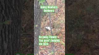 Skunked while deer hunting #nobucksgiven #getoutside #nature #viral #skunks #deerhunting #shorts